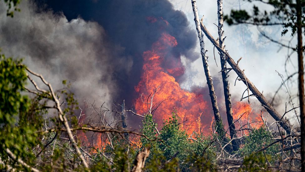 Flammen schlagen in einem Waldstück nahe Jüterbog in die Höhe. (Quelle: dpa/Fabian Sommer)