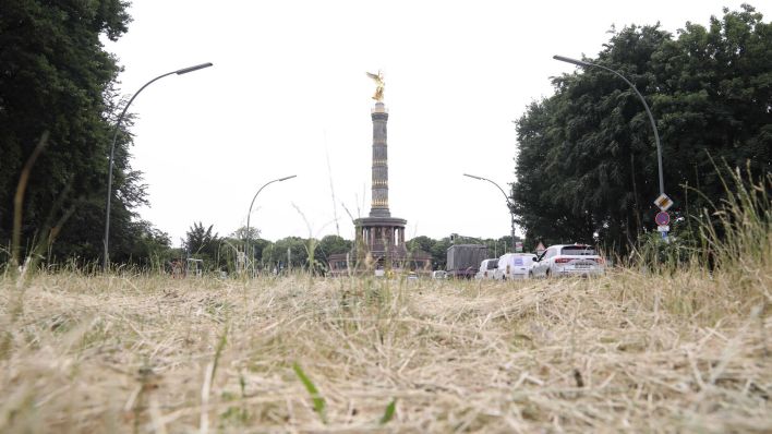 Vertrocknetes Gras vor der Berliner Siegessäule (Bild: imago images/Sabine Gudath)