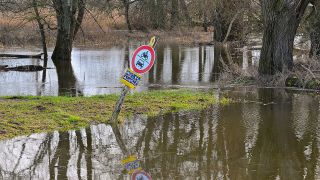 Das Hochwasser vom deutsch-polnischen Grenzfluss Oder hat am 28.12.2023 schon teilweise Wiesen vor dem Deich überflutet. (Quelle: dpa/Patrick Pleul)