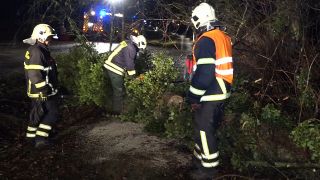 Ein Feuerwehrmann zerlegt am 22.12.2023 in Beelitz, Brandenburg einen umgestürten Baum.