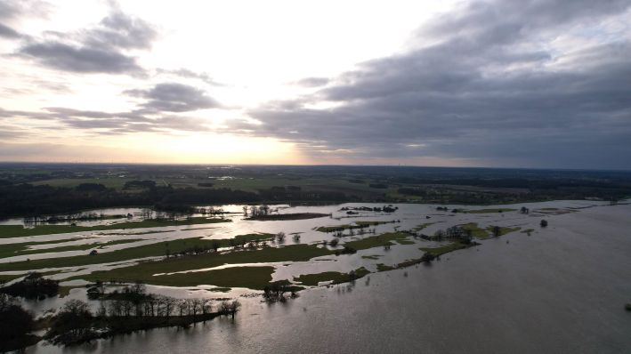 Wegen des Hochwassers der Elbe sind Wiesen bei Wittenberge (Prignitz) überflutet. (Quelle: René Günther)