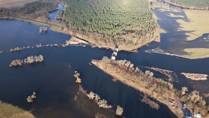 Das Hochwasser der Elbe ist am 02.01.2024 an der Grenze von Brandenburg nach Sachsen-Anhalt zu sehen. (Quelle: Rene Günther)