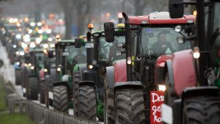Archivbild: Traktoren fahren zum Bauernprotest am 26.11.2019.(Quelle: Picture Alliance/Soeren Stache)