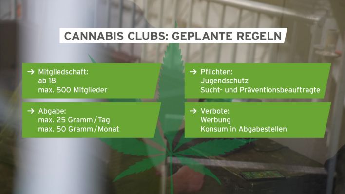Eine Grafik zeigt die Regelungen für die voraussichtlich ab 1. Juli 2024 lizenzierten Cannabis-Anbauvereinigungen, auch Cannabis Club genannt (Quelle: rbb).