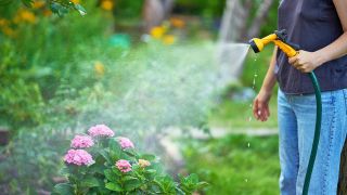 Symbolbild: Eine junge Frau bewässert einen Gartenam 12.07.2023.(Quelle: picture alliance / Zoonar / Viktor Gladkov)