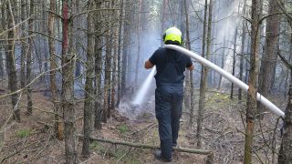 Feuerwehr rückt zu Waldbrand, Foto: LausitzNews.de/Maik Petrick via www.imago-images.de
