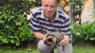 Schildkröte Bertha mit Besitzer Wolfgang Pfauder, Foto: privat, Wolfgang Pfauder