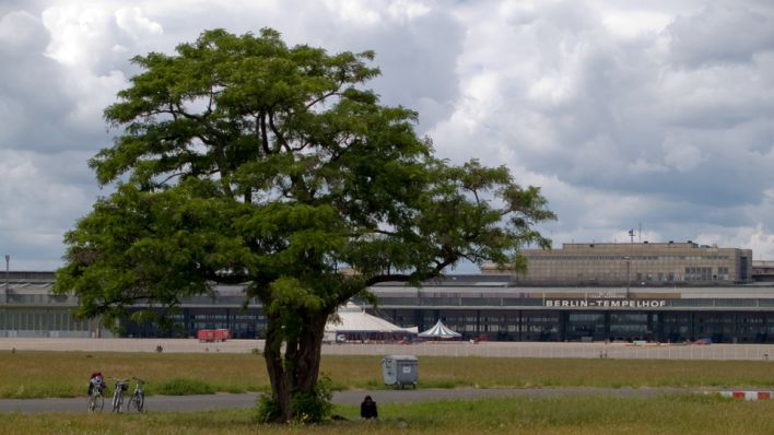 Picknick unter einem Baum auf dem Gelände des ehemaligen Flughafens Tempelhof; Foto: Carsten Kampf