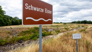 Schwarze Elster bei Senftenberg ohne Wasser; © dpa/Andreas Franke