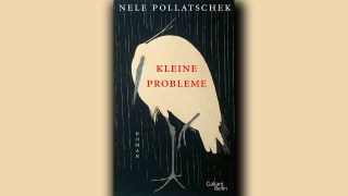 Nele Pollatschek: Kleine Probleme © Galiani Berlin