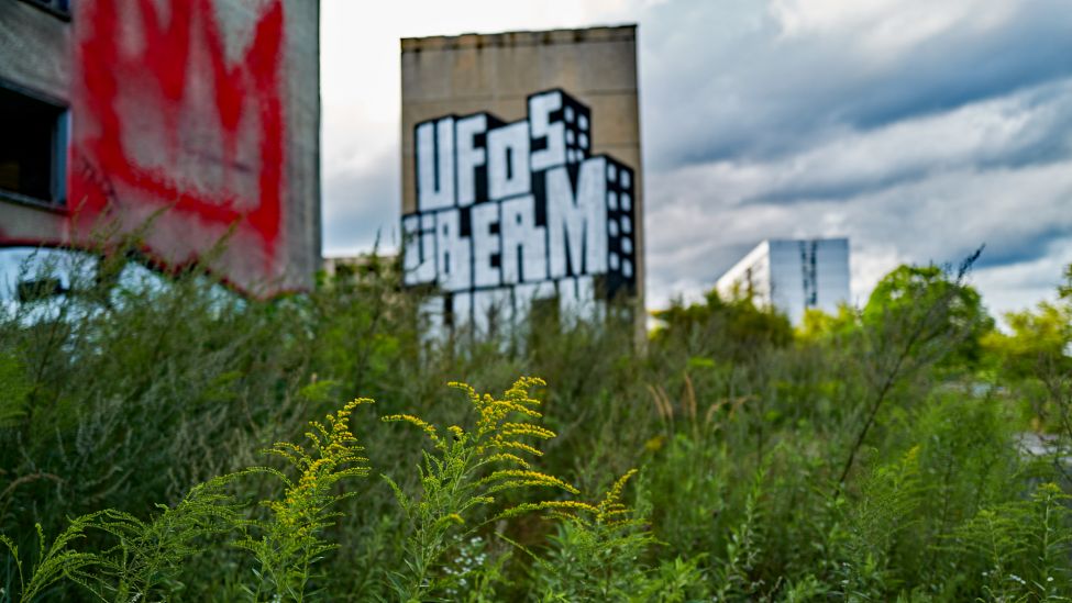 Im Vordergrund wachsen Pflanzen, im Hintergrund ist eine Hauswand mit dem Schriftzug "Ufos überm Block" zu sehen. Hier hat der Rapper Olexesh sein Video gedreht.(Quelle: Götz Gringmuth-Dallmer/rbb)