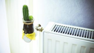 Eine Heizung mit einem Kaktus auf dem Thermostat. Quelle: imago images/ Christian Ohde