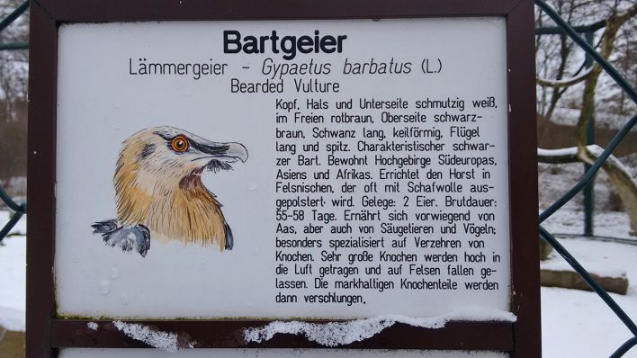Schild Bartgeier im Tierpark (Quelle: Caroline Winkler)