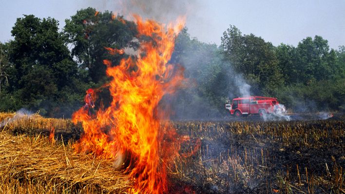 Symbolbild: Löscharbeiten bei einem Feldbrand nahe eines gefährdeten Waldstücks. (Quelle: imago/Theissen)