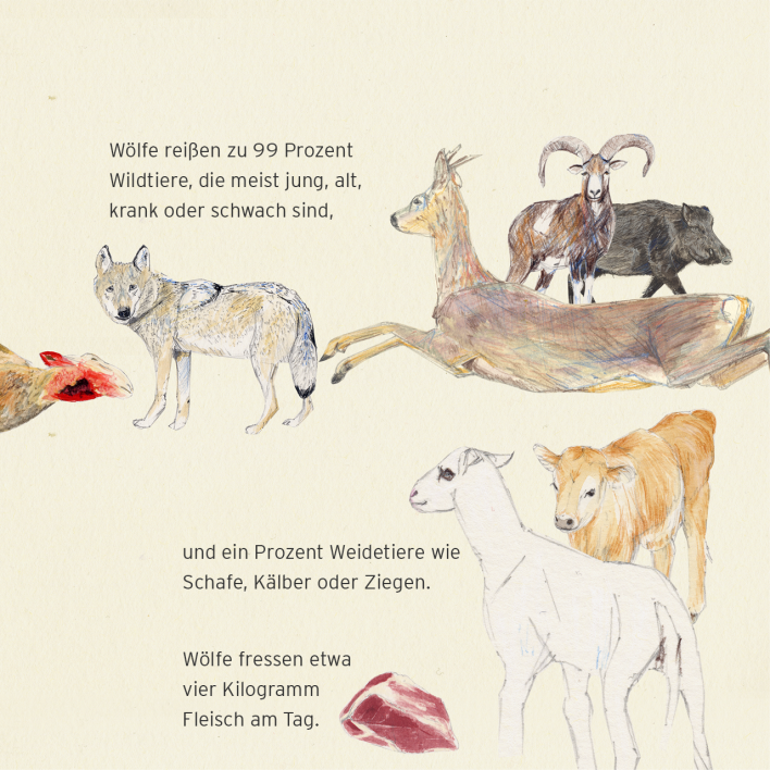 Illustration: Die Nahrung des Wolfes (Quelle: rbb|24/Caroline Winkler)