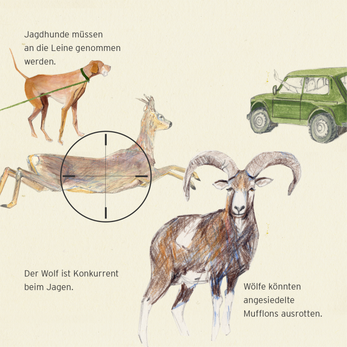 Illustration: Veränderungen für Jäger (Quelle: rbb|24/Caroline Winkler)