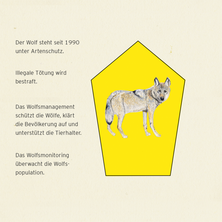 Illustration: Wolfsmonitoring und Wolfsmanagement – Schutz Wolf (Quelle: rbb|24/Caroline Winkler)