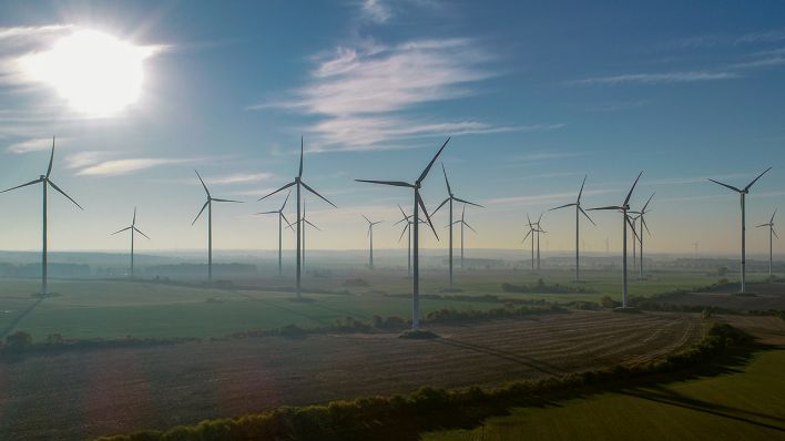 Windenergieanlagen des Windparks Odervorland in Sieversdorf (Quelle: dpa/Pleul)