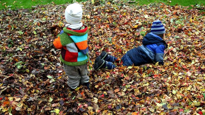 Symbolbild: Kinder spielen in einem Park mit Herbst-Laub. (Quelle: dpa/W. Kumm)