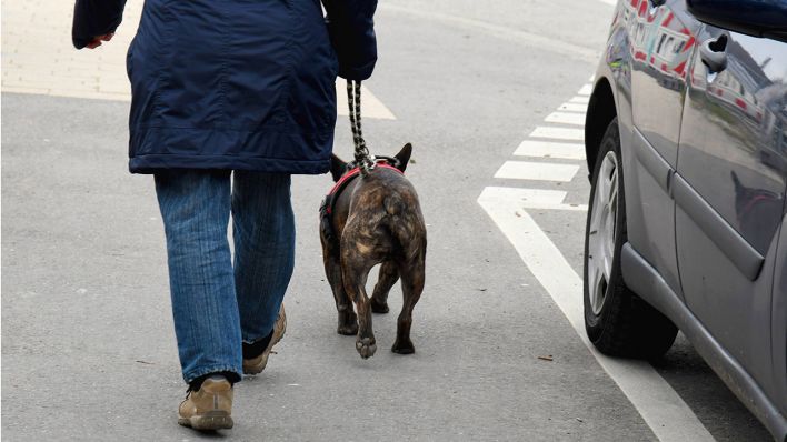 Symbolbild: Ein Mann führt seinen Hund an der Leine. (Quelle: imago/Winfried Rothermel)