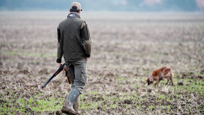 Ein Jäger läuft durch über ein Feld (Quelle: dpa/Bonniere)