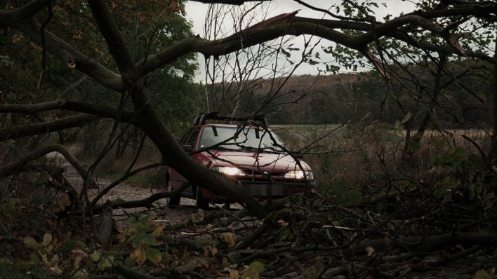 Symbolbild: Ein PKW steht auf einer Landstraße vor einem umgestürzten Baum und Ästen. (Quelle: dpa/Sauer)