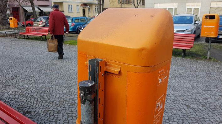 Sie nutzen Mülleimer wie Supermärkte“: Wie Waschbären unbemerkt Berlin  erobern