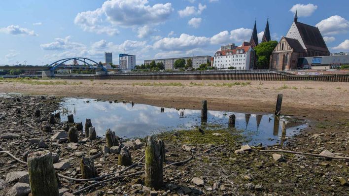 16.08.2018, Frankfurt (Oder): Blick über fast ausgetrocknete Bereiche des Grenzflusses Oder (Quelle: ZB/Patrick Pleul)