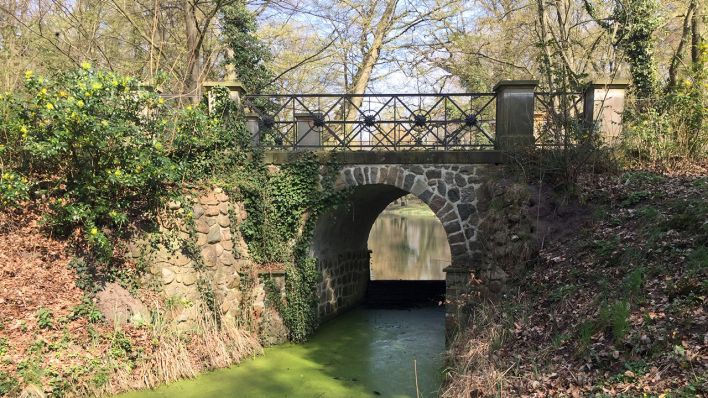 Brücke im Schlosspark Steinhöfel (Quelle: rbb/Lenz)