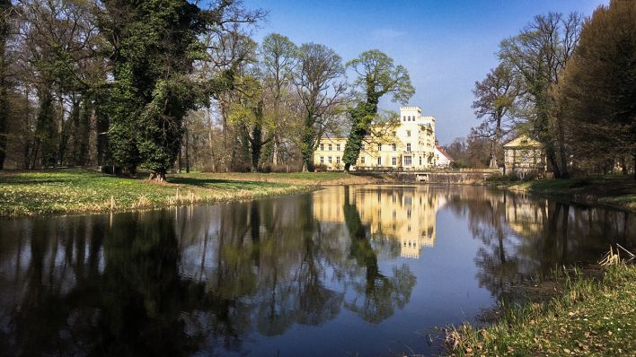Der Schlosspark von Steinhöfel im Landkreis Oder-Spree (Quelle: rbb/Lenz)