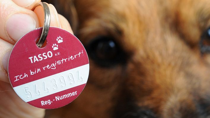 gegen Kennzeichnungspflicht bei Hunden und Katzen | rbb24