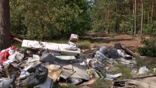 Illegal abgelegter Müll in einem Wald bei Stahnsdorf in Brandenburg (Quelle: rbb)