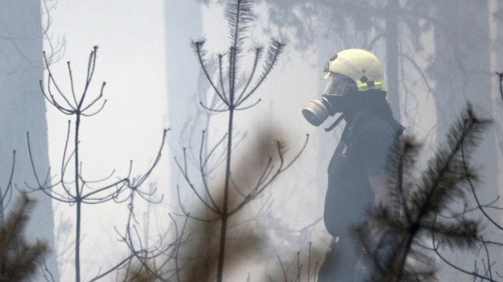 Ein Feuerwehrmann bekämpft einen Waldbrand bei Beelitz.
