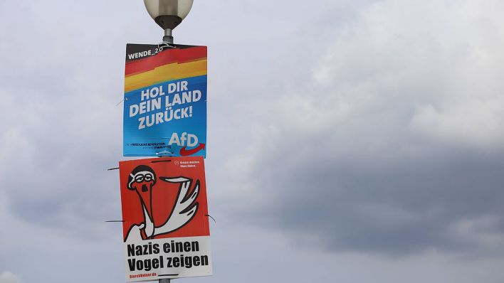 Wahlplakate in Brandenburg (Quelle: imago images/Müller)