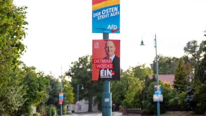 Wahlplakate von Dietmar Woidke (SPD) und der AfD hängen an einem Laternenmast in der Ortschaft Tauer bei Peitz in der Lausitz (Quelle: dpa/Franke).