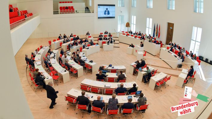 Landtag in Potsdam (Quelle: dpa/Patrick Pleul)