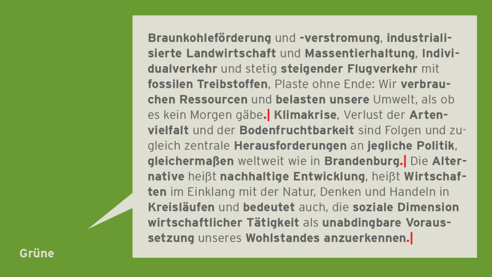 Visualisierung: Textanalyse Grüne. (Quelle: rbb|24)