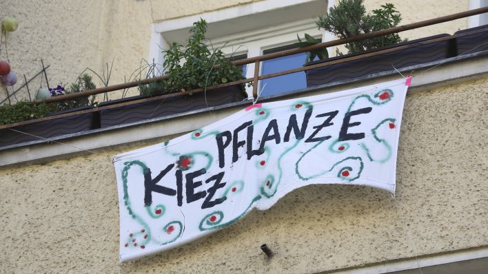 Symbolbild: Ein Bewohner in Berlin-Neukölln hat ein Banner mit der Aufschrift "Kiezpflanze" an seinen Balkon gehängt (Quelle: Imago Images/Müller-Stauffenberg).