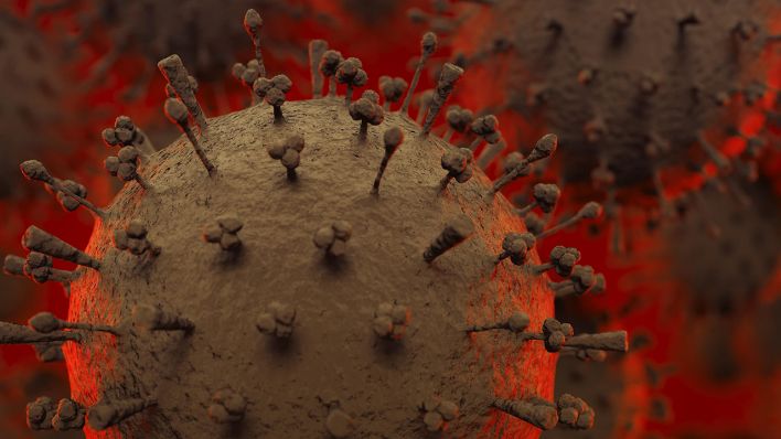 Influenza-A-Viruspartikel