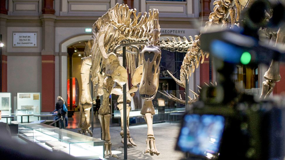 Zentraler Lichthof im Museum für Naturkunde, Fossilien von Tieren und Pflanzen aus der späten Jurazeit (Quelle: rbb|24)