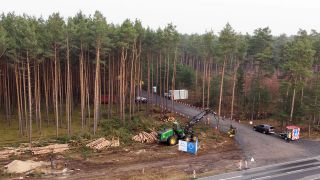 Mit einem Holzvollernter wird auf dem Tesla-Gelände in Grünheide ein Kiefernwald gerodet. (Quelle: dpa/Jörg Carstensen)