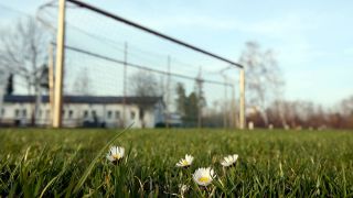 Verwaister Rasen im Amateurfußball (imago images)