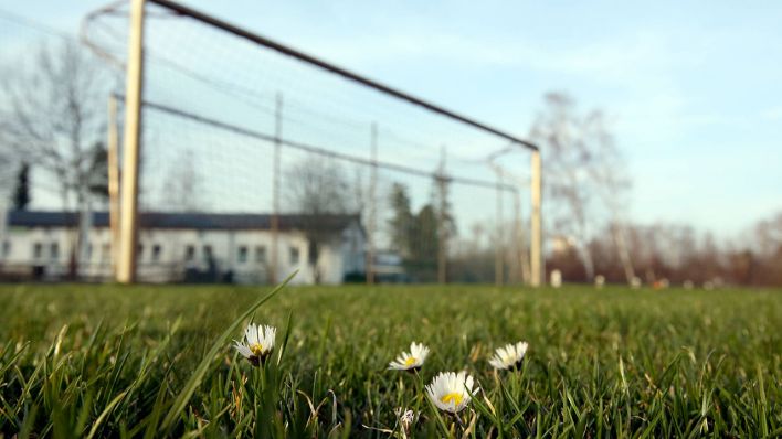 Verwaister Rasen im Amateurfußball (imago images)