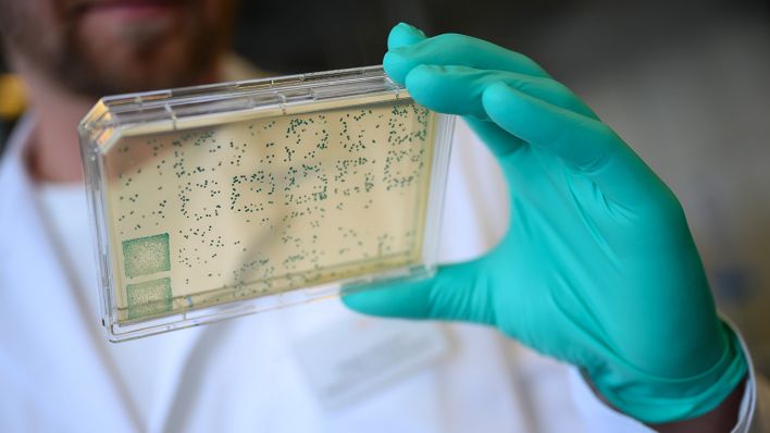 Symbolbild: Ein Mann schaut sich in einem Labor des biopharmazeutischen Unternehmens Curevac einen Träger mit Bakterien an. (Quelle: dpa/S. Gollnow)