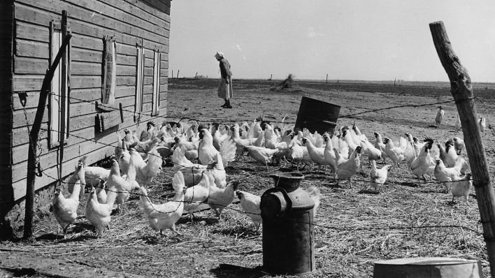 Eine Frau auf ihrer Farm im Haskell County im US-Bundesstaat Kansas im Jahre 1941. Der Landstrich gilt als erster Ausbruchsort der Spanischen Grippe, die 1918 bis 1920 weltweit bis zu 100 Millionen Menschen das Leben kostete (Quelle: National Archives and Records Administration / Irving Rusinow).