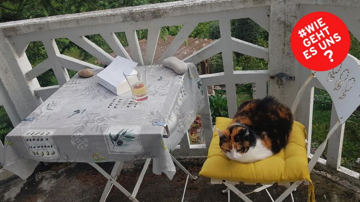 Sabines* Balkon mit ihrer Katze (Quelle: privat)