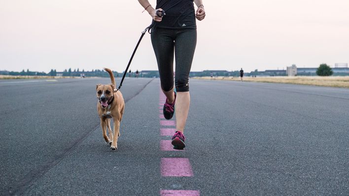 Symbolbild: Eine Frau joggt auf dem Tempelhofer Feld mit einem Hund (Bild: dpa/Robert Guenther)