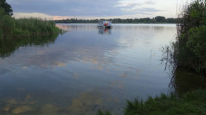 Ein Boot auf dem Beetzsee in Brandenburg (Quelle: imago images)