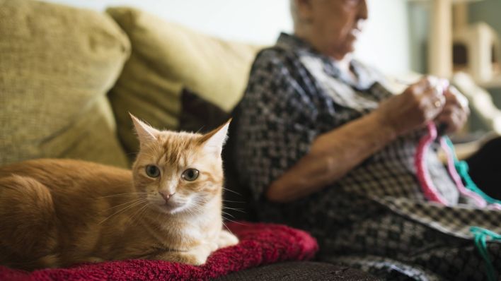 Katze sitzt neben Seniorin auf der Couch (Bild: imago images/Ramon Espelt)