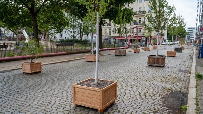 Im Stadtteil Friedrichshain-Kreuzberg stehen am 24.07.2020 in einer temporären Fußgängerzone Kübelpflanzen. Es wurde eine «Klimastraße» eingerichtet. (Bild: dpa/Christophe Gateau)